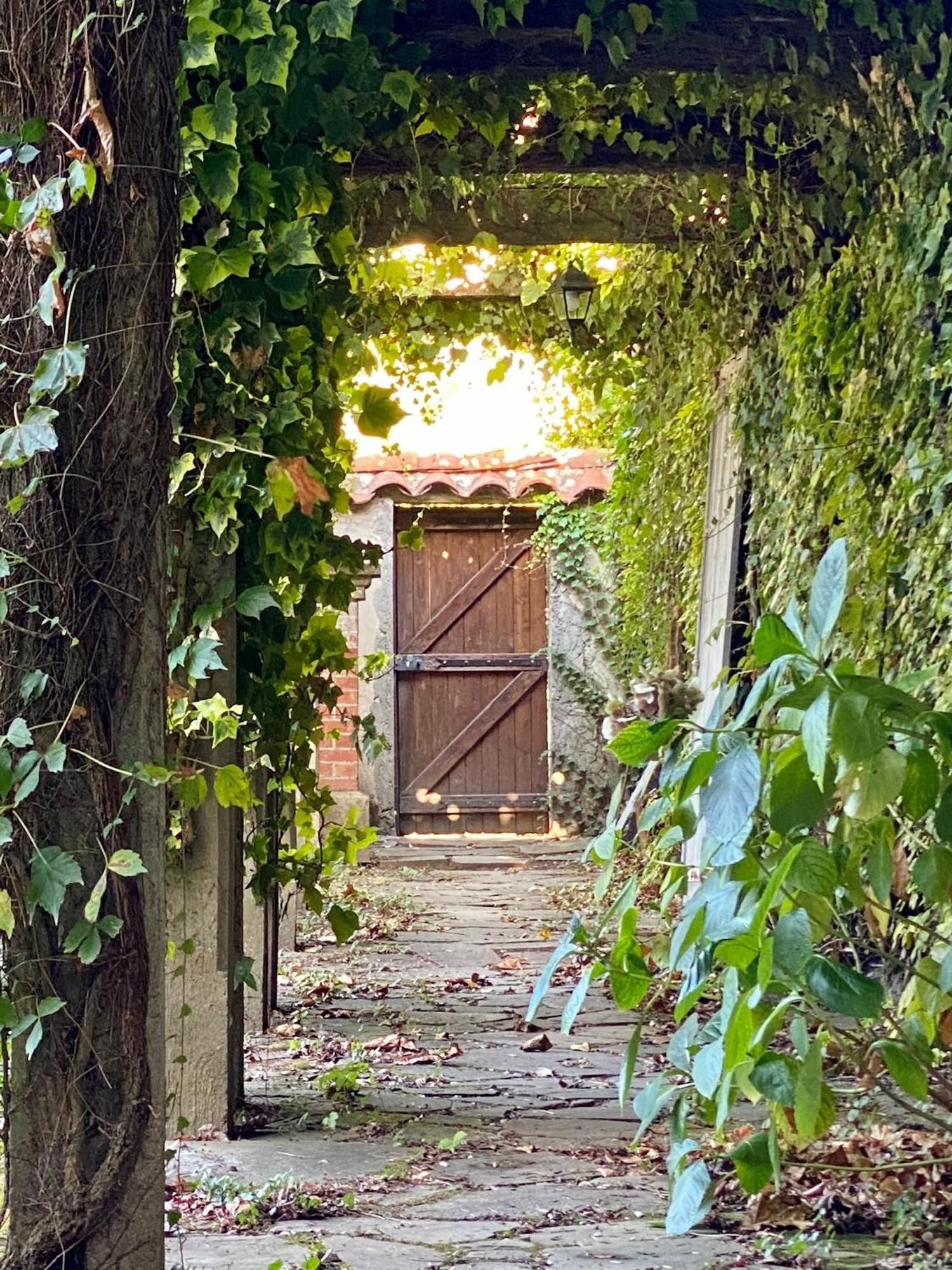 Le Rez De Jardin Albi Hotel Buitenkant foto